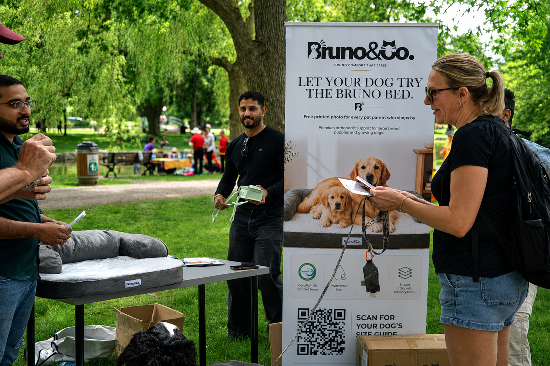 Victoria Park Pop-Up