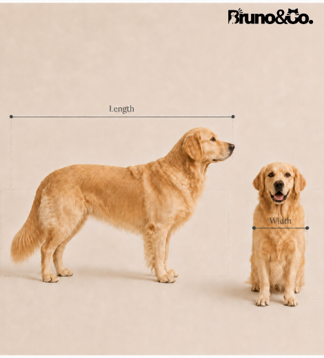 How to measure
