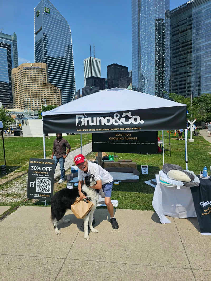 Toronto Doggie Fest