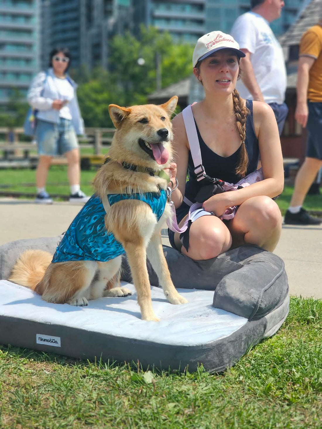Toronto Doggie Fest