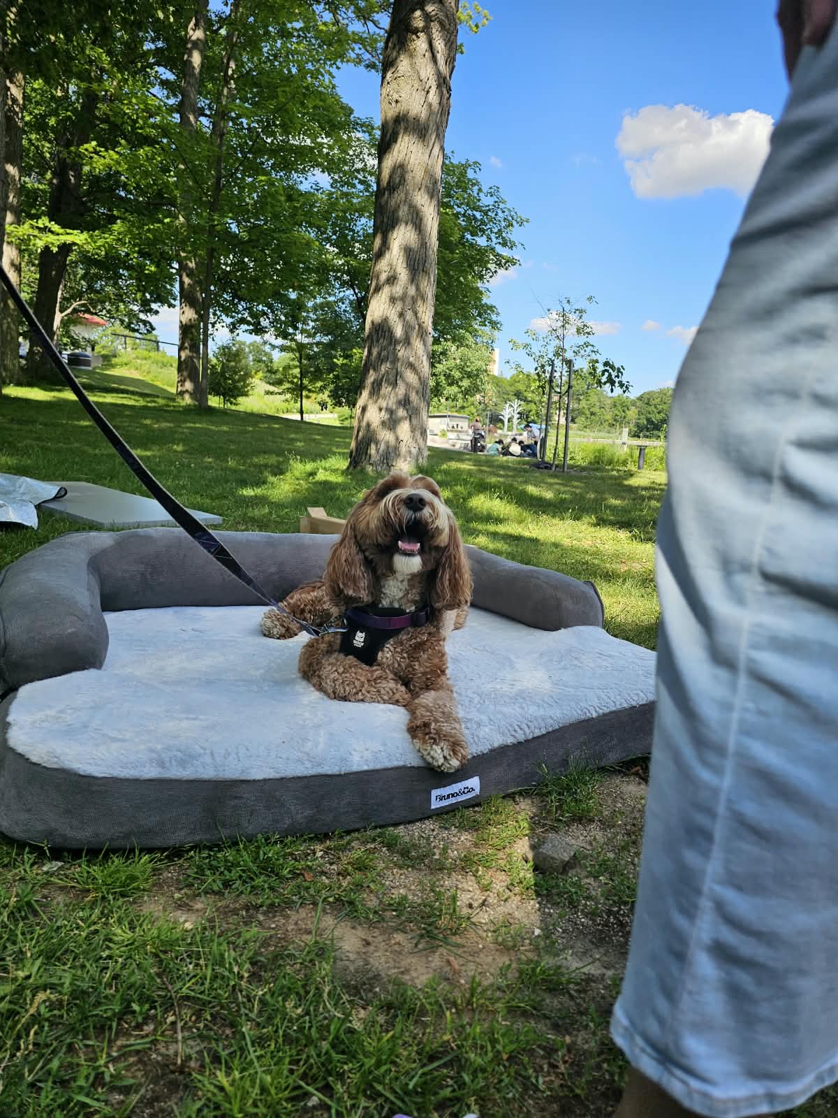 Waterloo Park Pop-Up