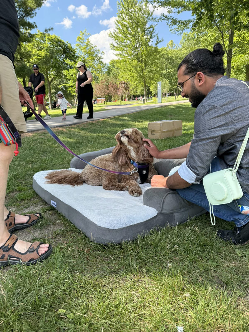 Waterloo Park Pop-Up