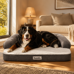 Bernese Mountain Dog lying on the Bruno orthopedic dog bed in a living room