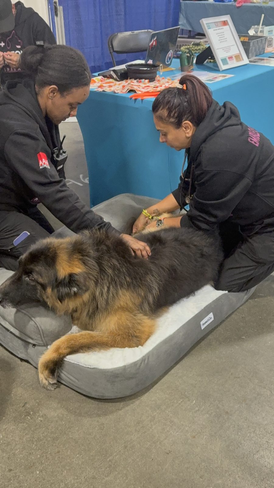 At the Embleton Vet tent, Canadian Pet Expo
