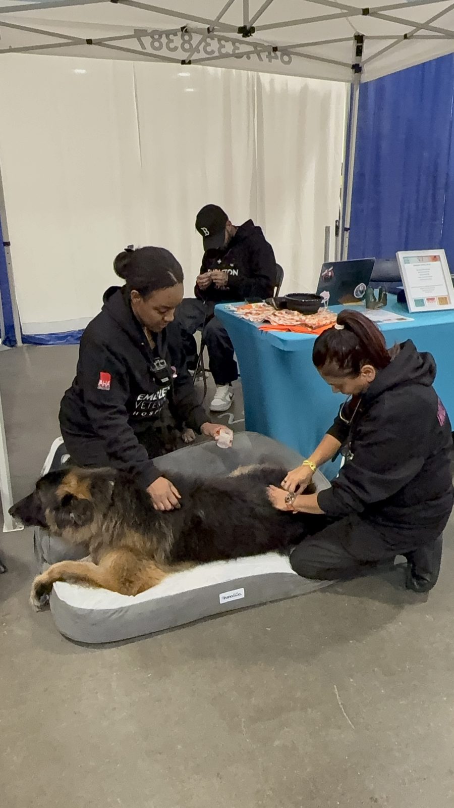 At the Embleton Vet tent, Canadian Pet Expo