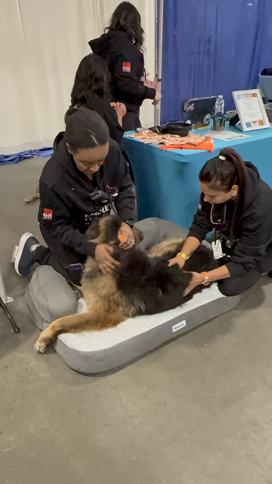 At the Embleton Vet tent, Canadian Pet Expo