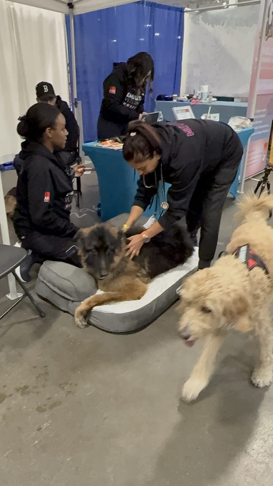 At the Embleton Vet tent, Canadian Pet Expo