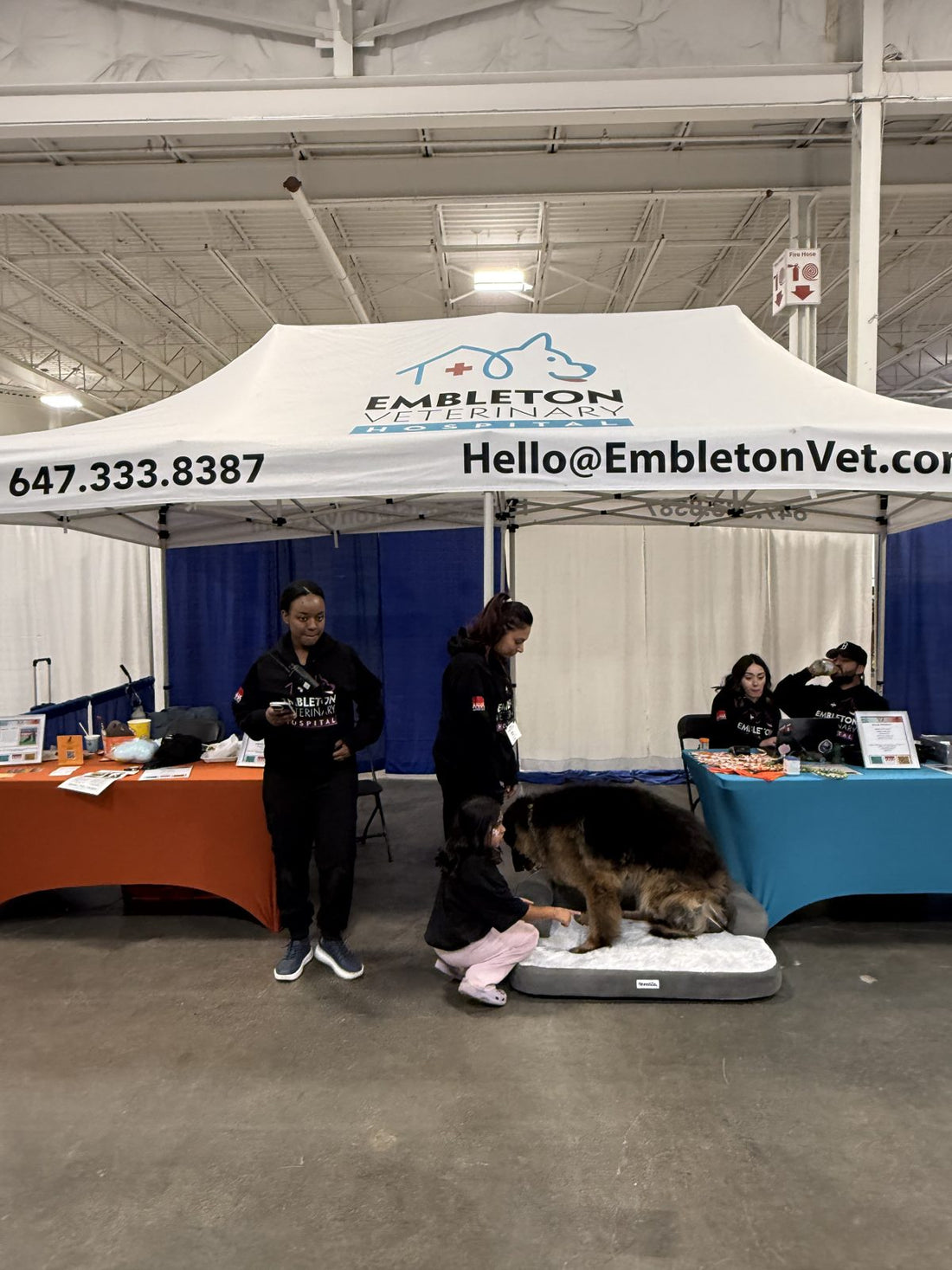 Embleton Vet tent with a Bruno bed